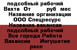 подсобный рабочий . Вахта. От 30 000 руб./мес. › Название организации ­ ООО Спецресурс › Название вакансии ­ подсобный рабочий - Все города Работа » Вакансии   . Ингушетия респ.